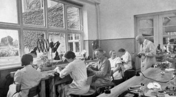 Ma plaidoirie pour Hitler || Ep. 3: les réussites du national-socialisme (suite) atelier_gazon