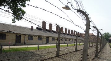 Shoah : tabou éternel ? (Ep. 5) 20190718