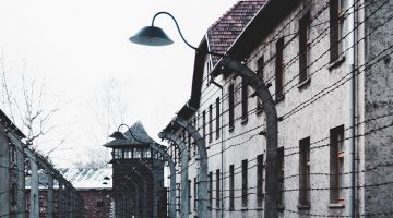 Shoah : tabou éternel ? (Ep. 1) 201907series1