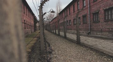 Shoah : tabou éternel ? (Ep. 2) 201907series2