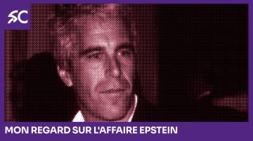 Mon regard sur l'affaire Epstein