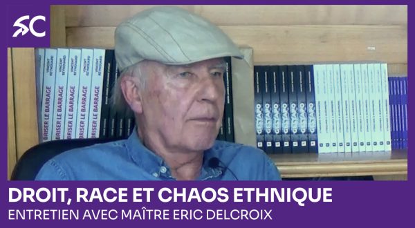 Droit, race et chaos ethnique