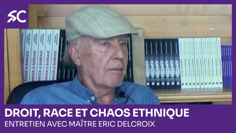 Droit, race et chaos ethnique
