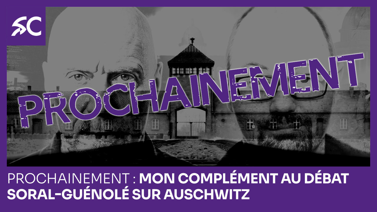 Prochainement, mon complément au débat Soral-Guénolé sur Auschwitz